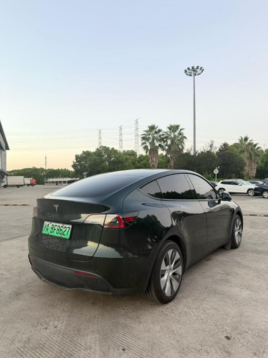 Tesla Model Y 2022 #7 Tesla Model Y 2022 car image #7