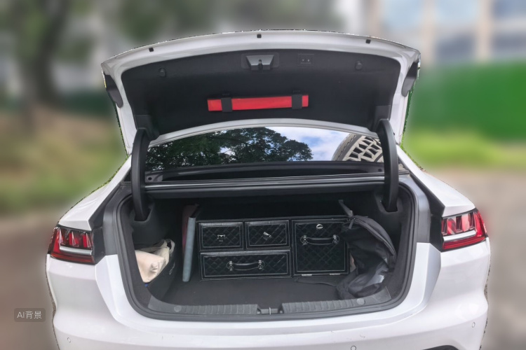 BYD Han 2021 car image #21