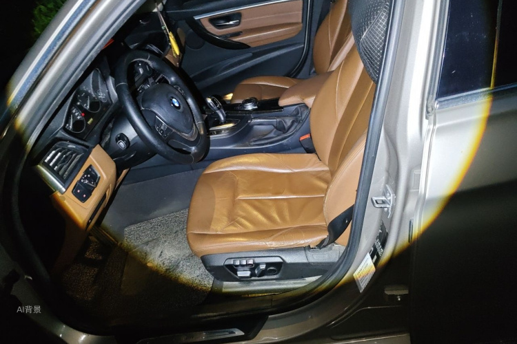 BMW 3 Series 2015 car image #17