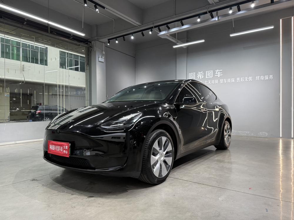 Tesla Model Y 2023 Tesla Model Y 2023 car image