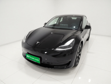 Tesla Model 3 2021 car image 