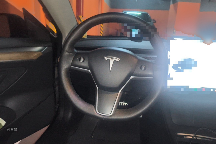 Tesla Model 3 2021 car image #12