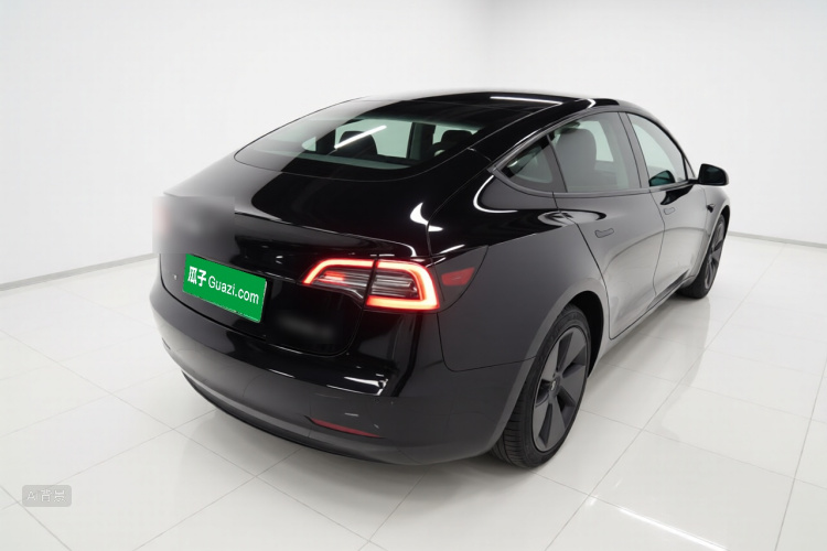 Tesla Model 3 2023 car image #7