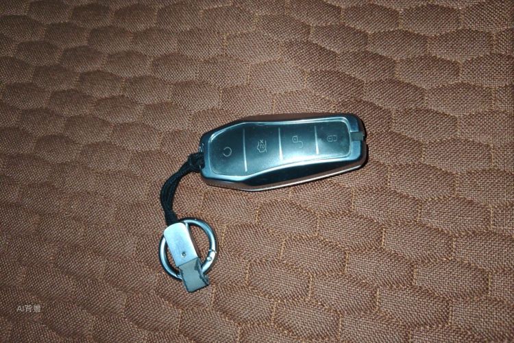 BYD Han 2022 car image #10