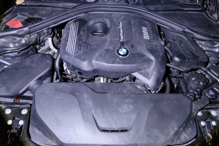 BMW 3 Series GT 2017 car image #22
