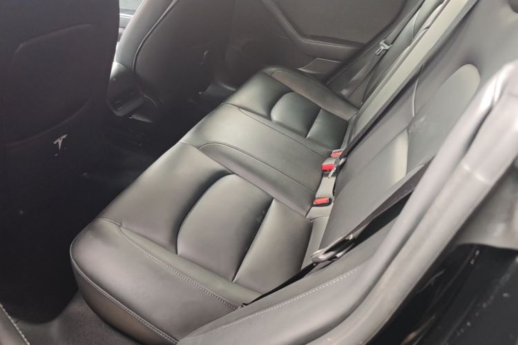 Tesla Model 3 2021 #17 Tesla Model 3 2021 car image #17