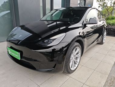 Tesla Model Y 2023 Tesla Model Y 2023 car image