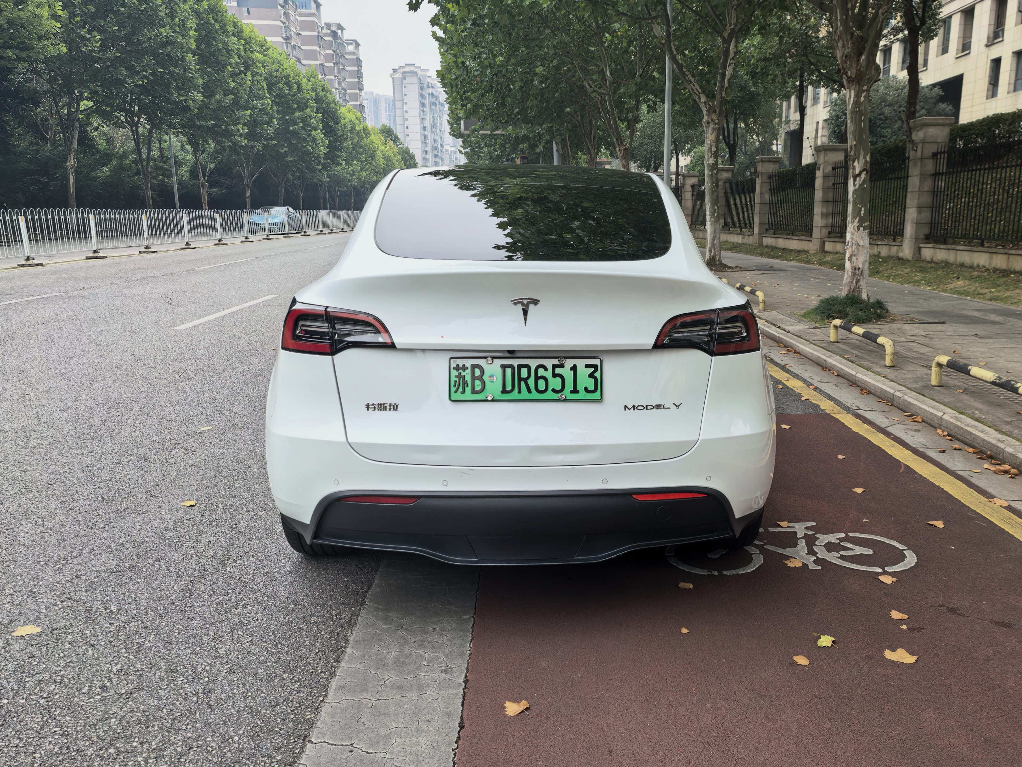 Tesla Model Y 2024 immagine di auto #4