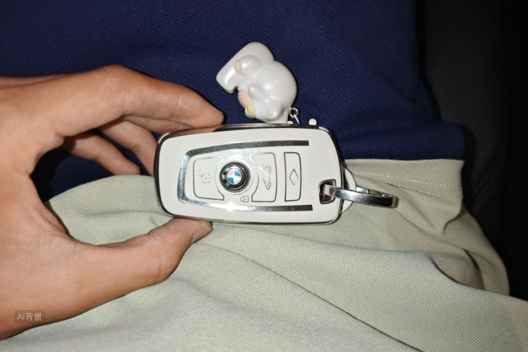 BMW 3 Series 2017 car image #10