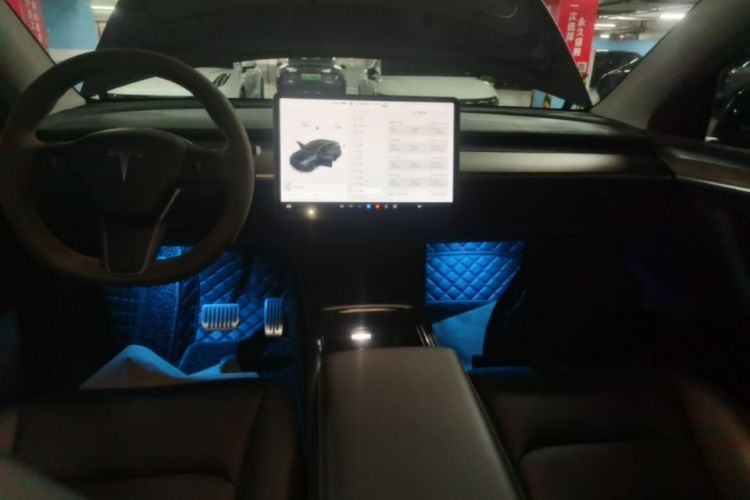 Tesla Model Y 2021 car image #13