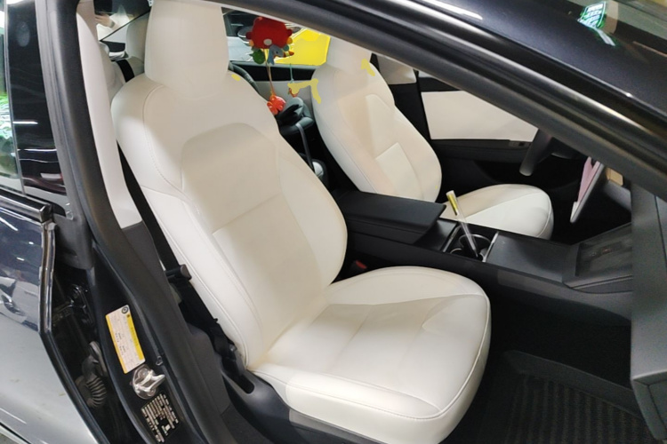Tesla Model 3 2023 #24 Tesla Model 3 2023 صورة سيارة #24