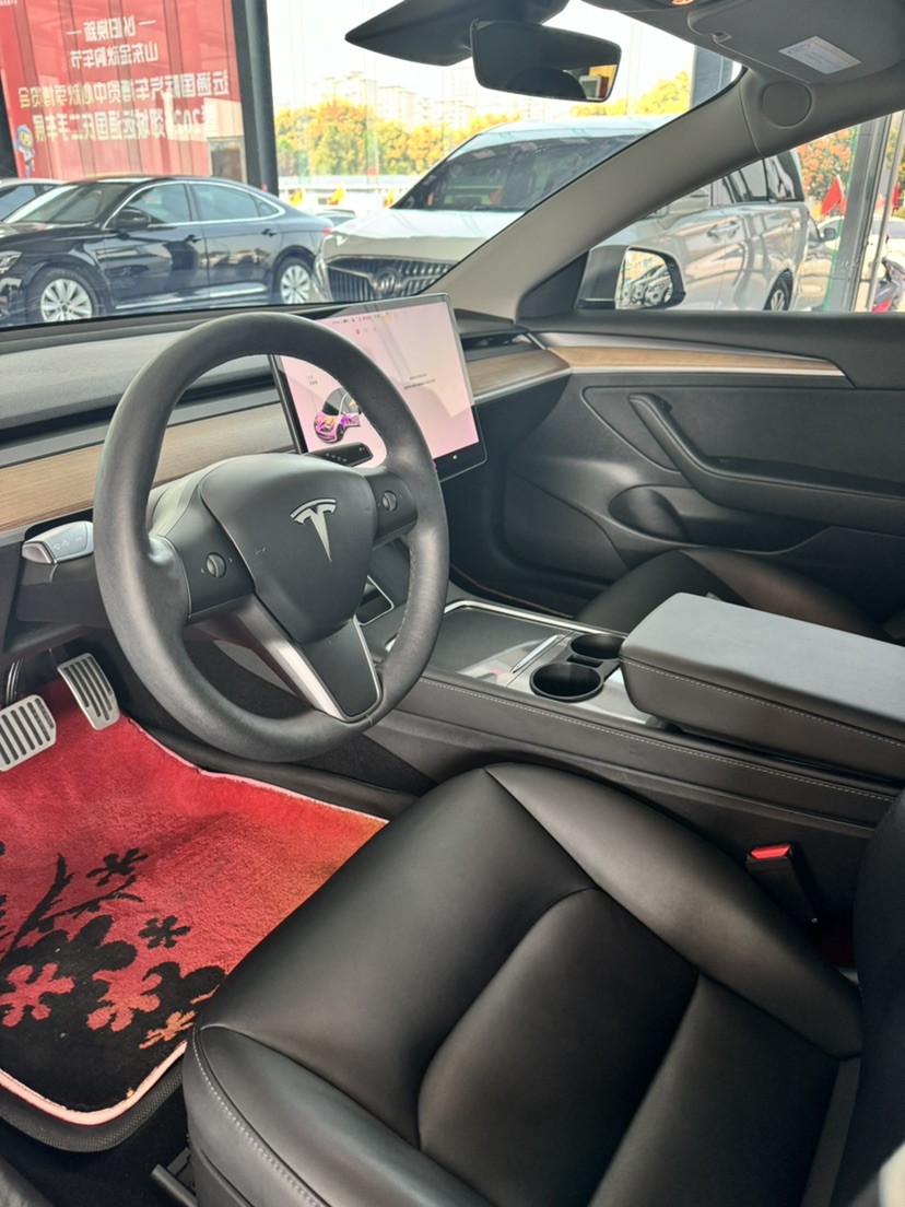 Tesla Model 3 2021 car image #6