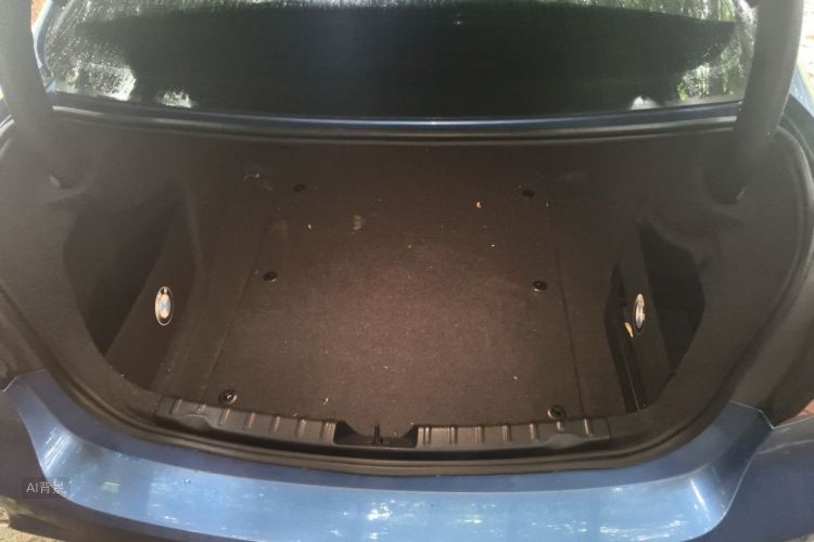 BMW 3 Series 2018 car image #21