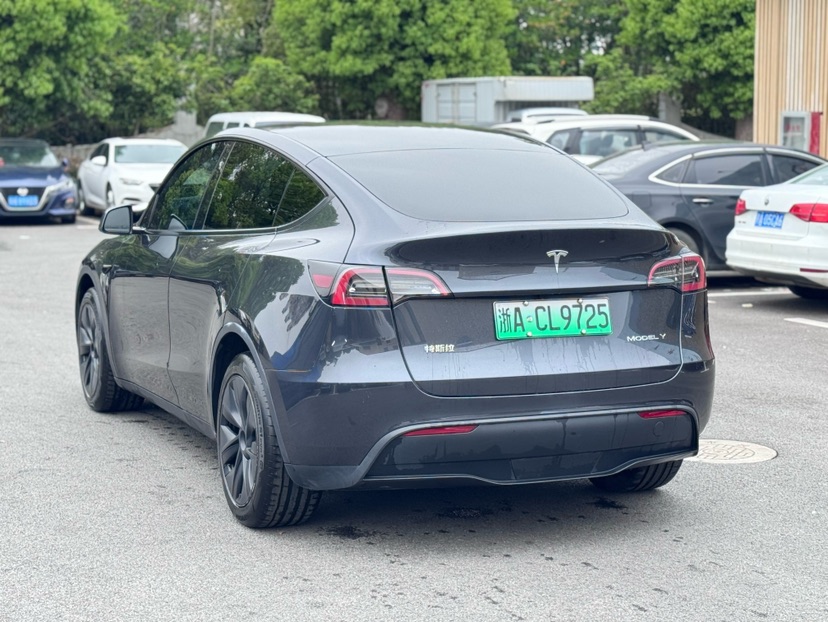 Tesla Model Y 2024 car image #9