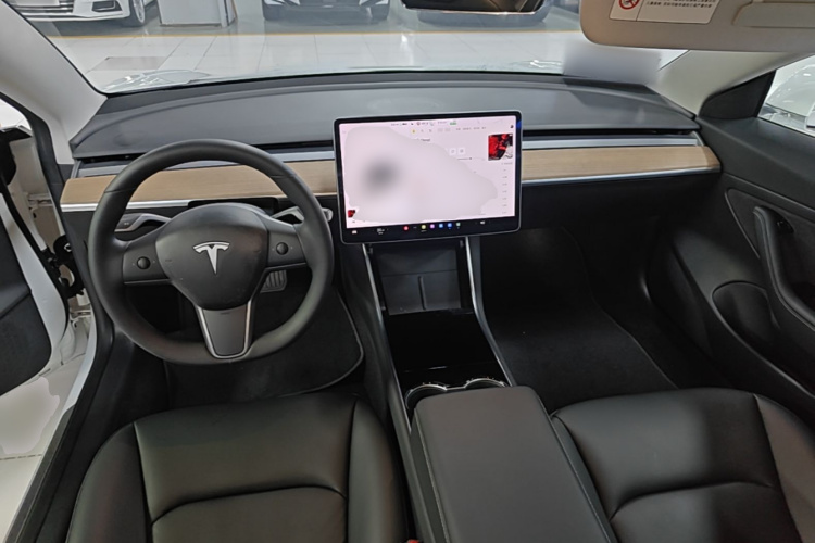 Tesla Model 3 2020 car image #11
