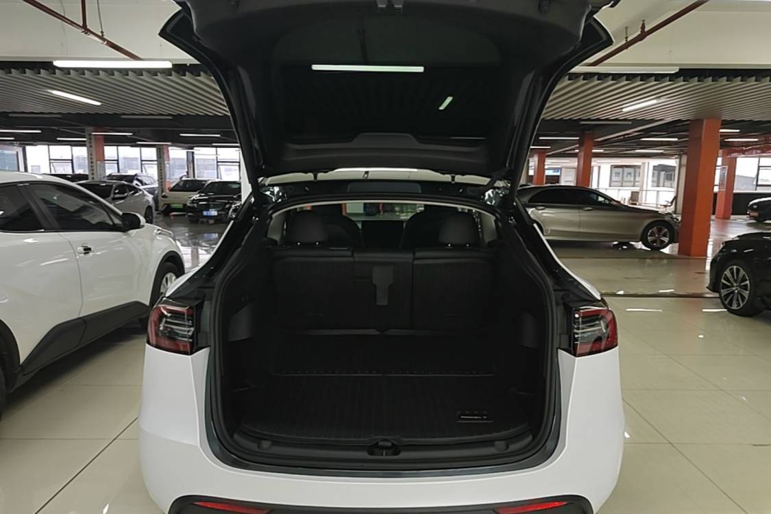Tesla Model Y 2024 car image #5