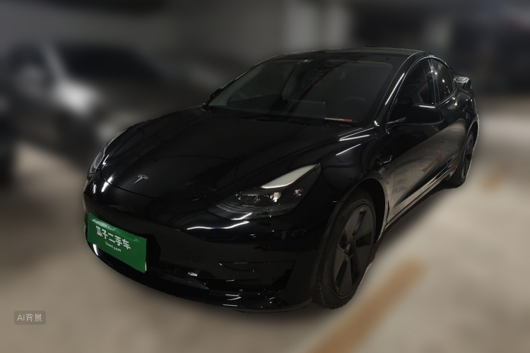 Tesla Model 3 2021 #2 Tesla Model 3 2021 car image #2