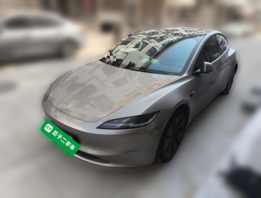 Tesla Model 3 2024 car image 