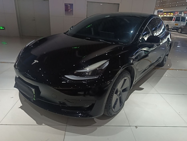 Tesla Model 3 2022 Tesla Model 3 2022 car image