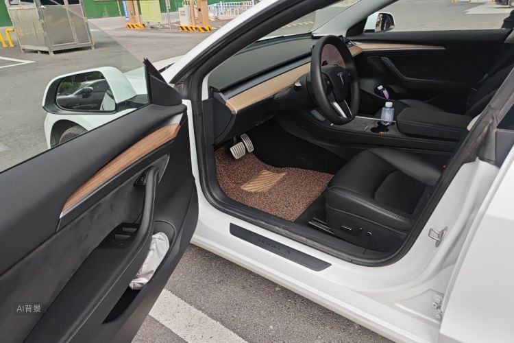 Tesla Model 3 2021 car image #18
