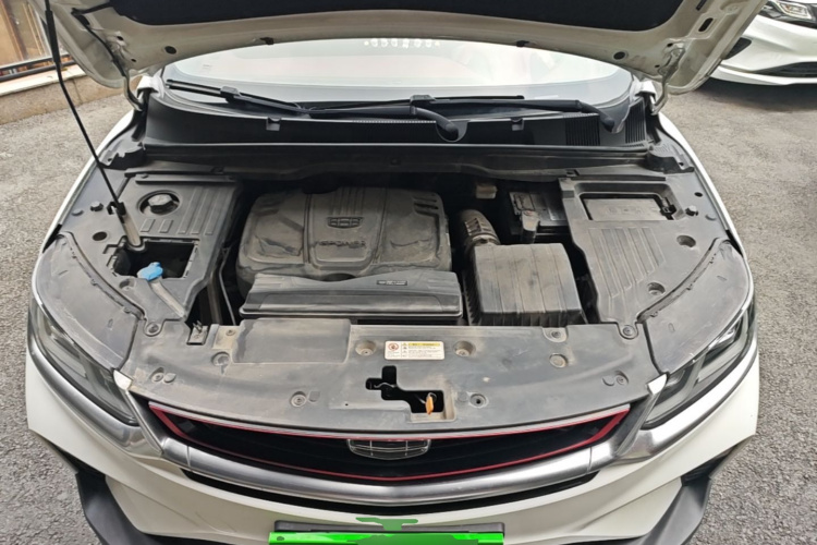 GEELY Coolray 2019 immagine di auto #20