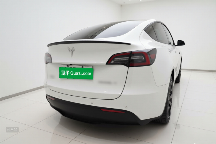 Tesla Model Y 2021 car image #6