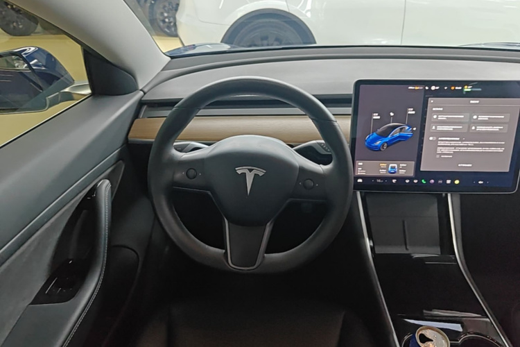 Tesla Model 3 2020 car image #11