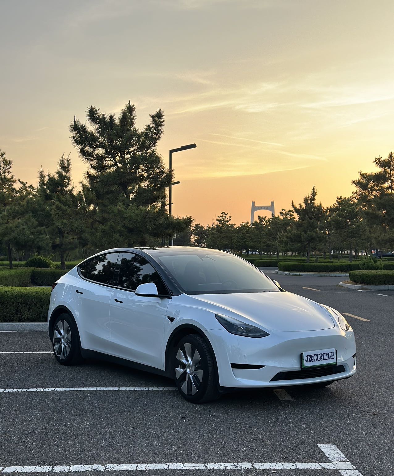 Tesla Model Y 2022 car image #5