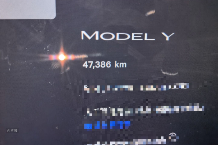 Tesla Model Y 2022 immagine di auto #14