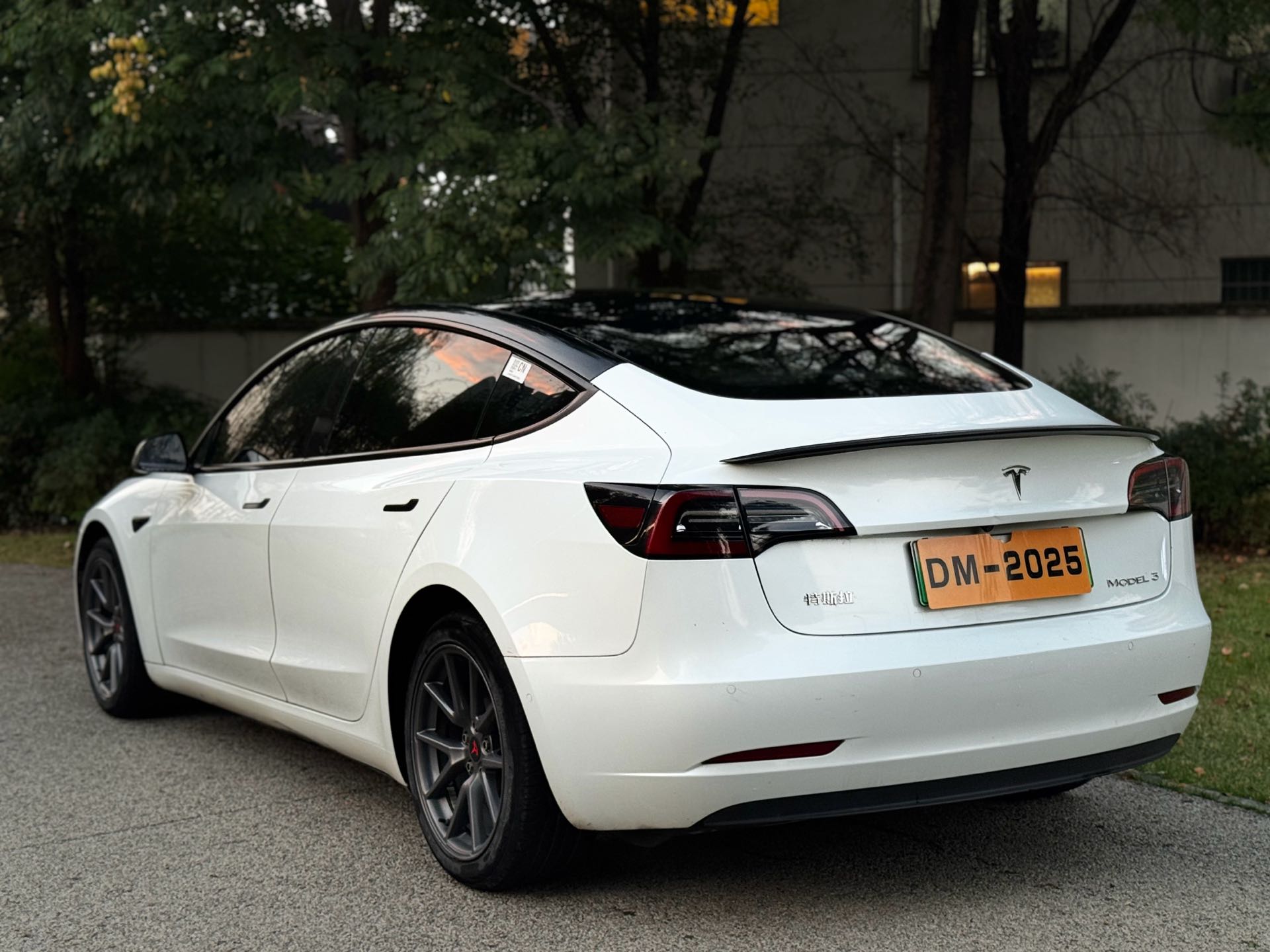 Tesla Model 3 2021 car image #8