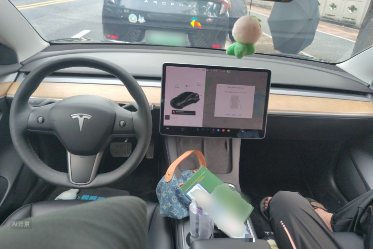 Tesla Model 3 2021 #11 Tesla Model 3 2021 car image #11