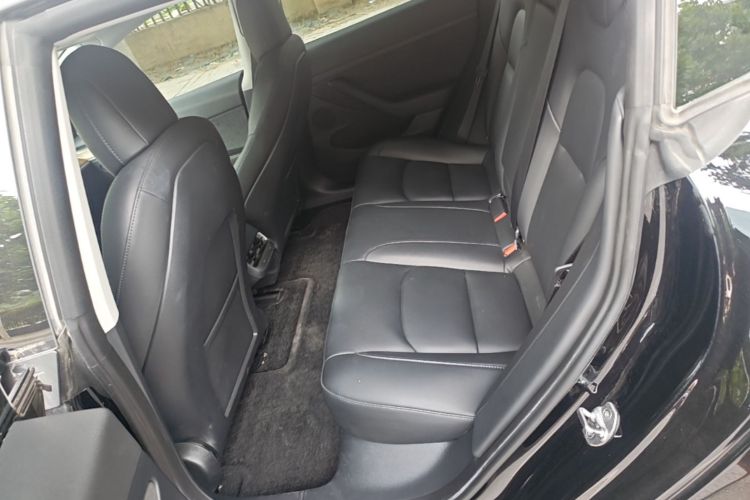 Tesla Model 3 2021 car image #17