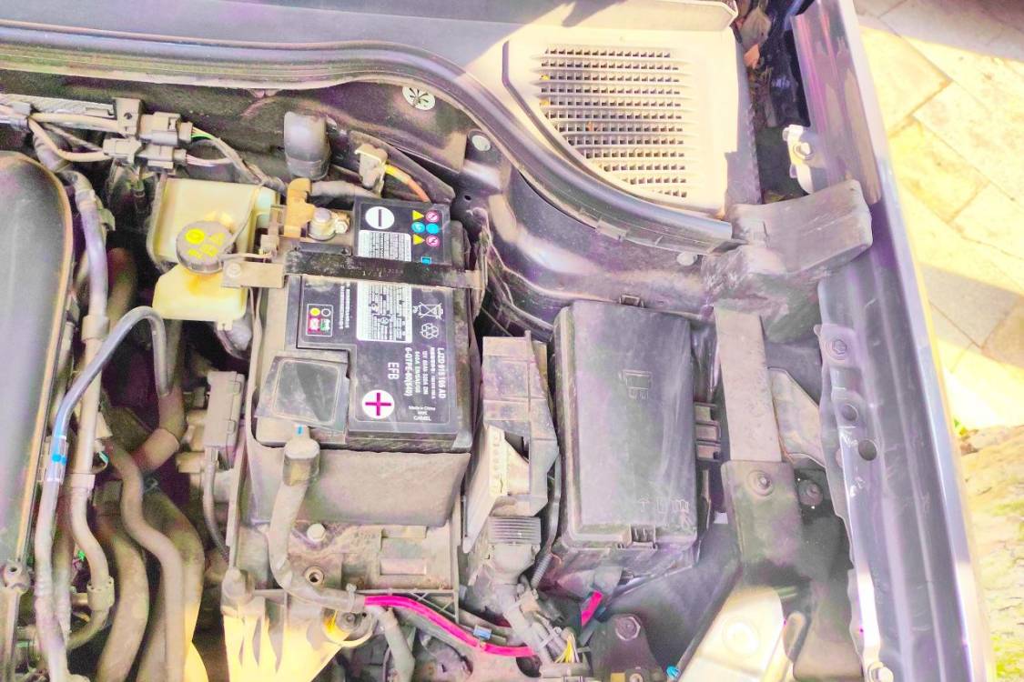 Volkswagen Tharu 2021 #12 Volkswagen Tharu 2021 immagine di auto #12