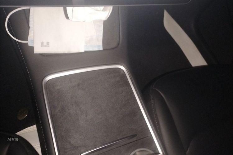 Tesla Model 3 2022 #10 Tesla Model 3 2022 car image #10