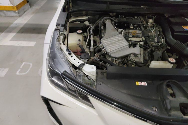 Toyota Corolla 2019 #24 Toyota Corolla 2019 car image #24