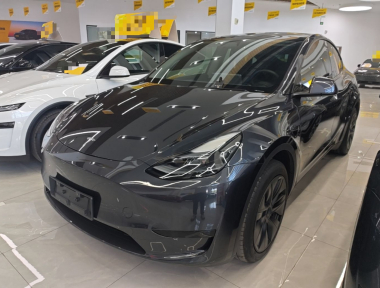 Tesla Model Y 2024 Tesla Model Y 2024 car image