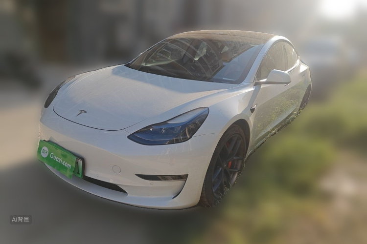 Tesla Model 3 2022 car image #2