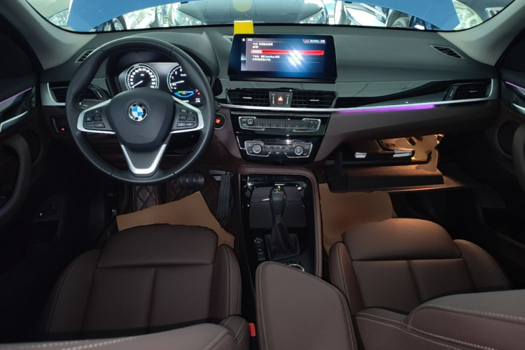BMW X1 New Energy 2020 car image #10
