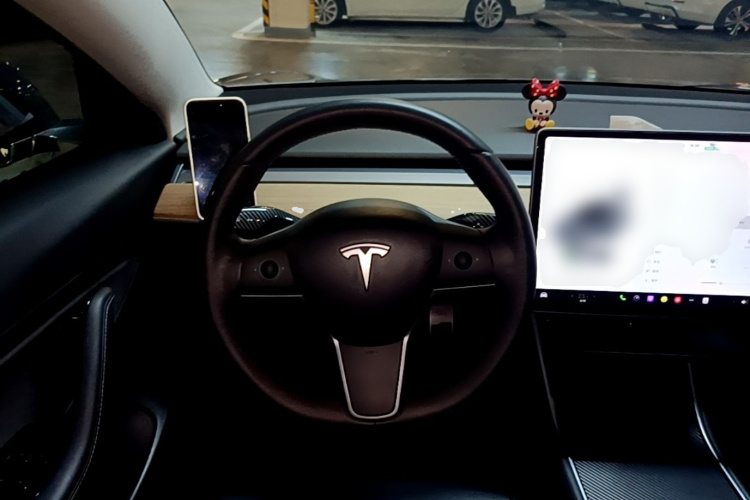 Tesla Model 3 2020 #11 Tesla Model 3 2020 car image #11
