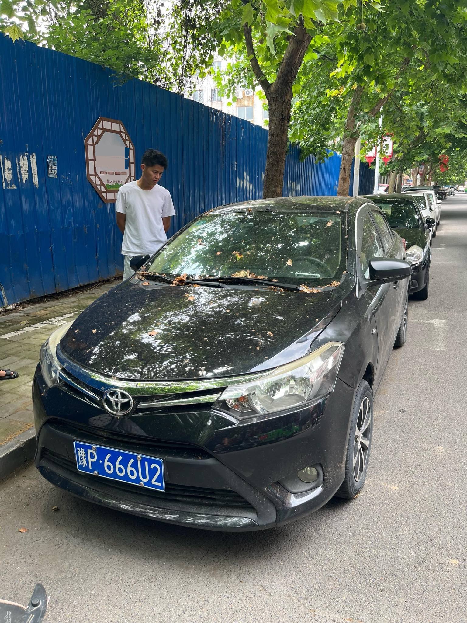 Toyota Vios 2015 car image 