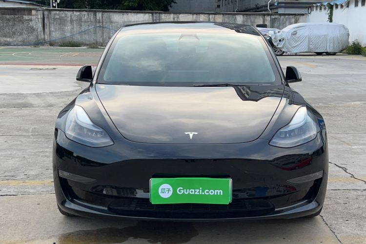 Tesla Model 3 2021 #3 Tesla Model 3 2021 car image #3
