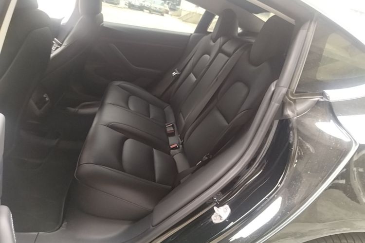 Tesla Model 3 2020 car image #17