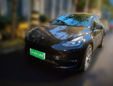 Tesla Model Y 2021 car image 