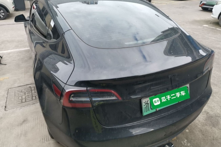 Tesla Model 3 2021 immagine di auto #5