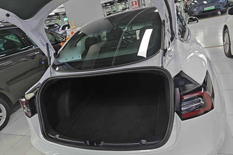 Tesla Model 3 2020 car image #21
