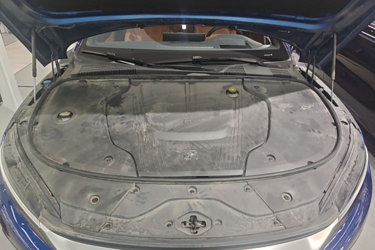 BYD Han 2022 car image #20
