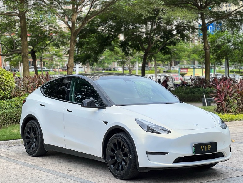 Tesla Model Y 2022 Tesla Model Y 2022 car image