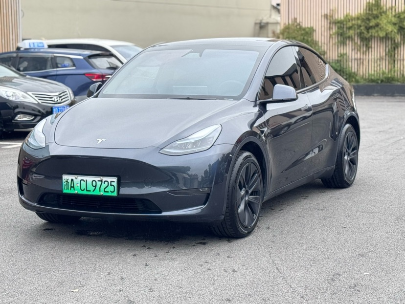 Tesla Model Y 2024 car image 