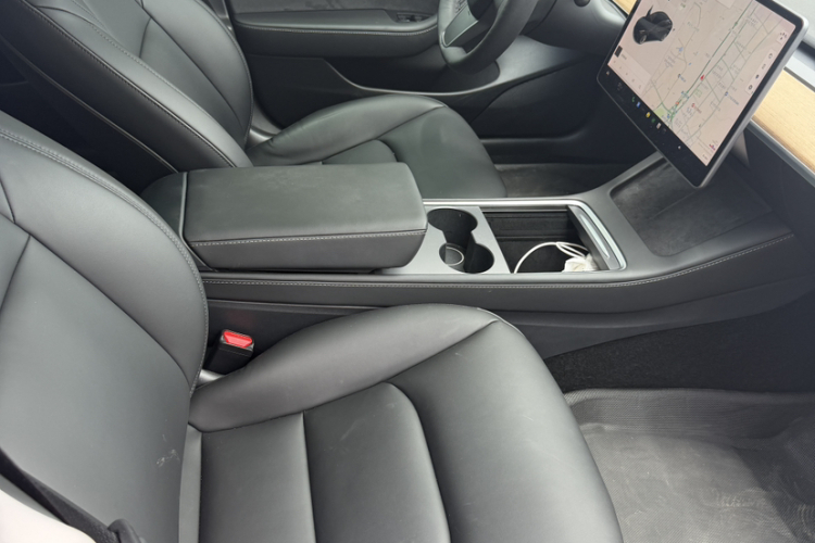 Tesla Model 3 2021 car image #10
