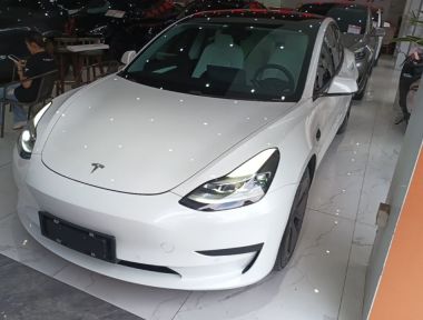 Tesla Model 3 2021 car image 